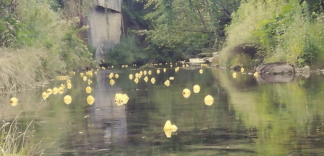 Neobičan prizor na Čabranki