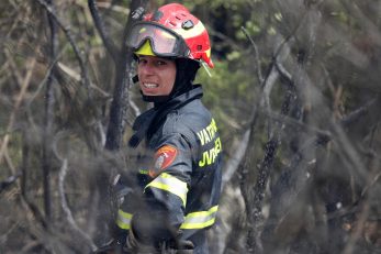 Foto Dusko Jaramaz/PIXSELL