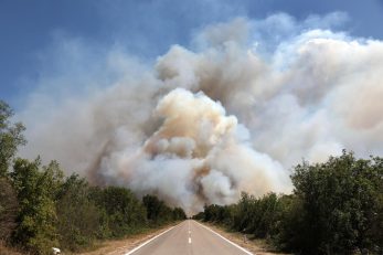 Foto Dusko Jaramaz/PIXSELL