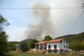 U slovenskom selu Lipa u tijeku je akcija gašenja požara / Foto Saša Miljević / Pixsell