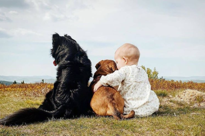 Foto: Instagram/Kidswithdogs