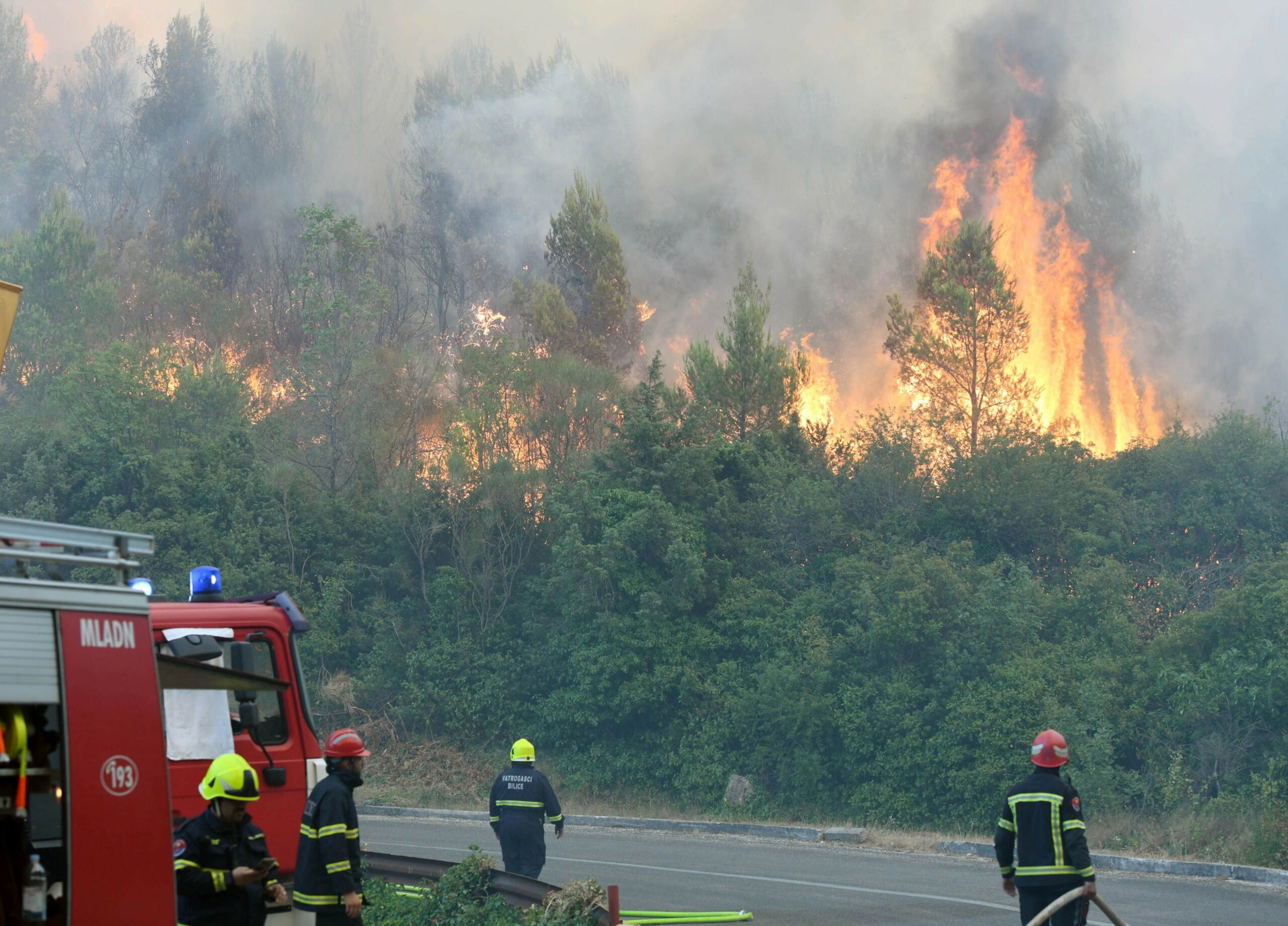 Požar / Foto: Hrvoje Jelavic/PIXSELL