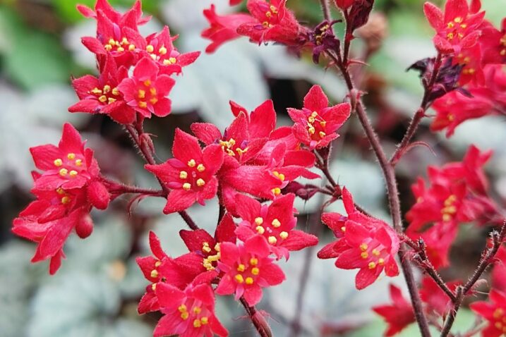 Foto: iStock