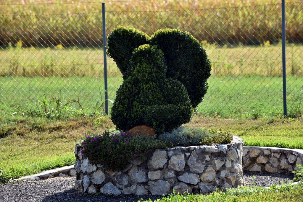 Zeleni anđeo čuvar / Snimio Davor KOVAČEVIĆ