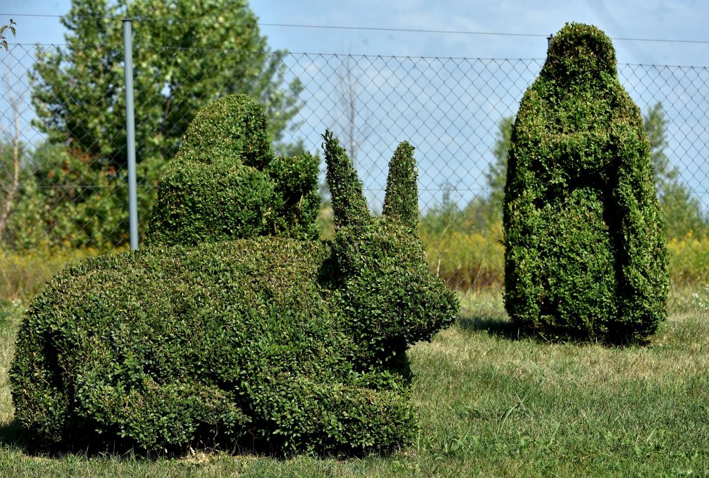 Sracinec, 16.08.2022 (nedeljni broj) - bajkoviti topiary park obitelji Flegar u blizini Varazdina, tekst S.Pavic. foto Davor Kovacevic nedeljni