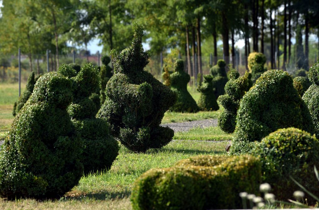 Kao prvi takve vrste u Hrvatskoj, a drugi u Europi, u općini Sračinec otvoren je tematski Topiary park / Snimio Davor KOVAČEVIĆ