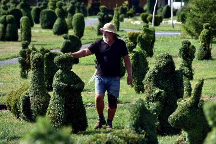 Snimio Davor KOVAČEVIĆ