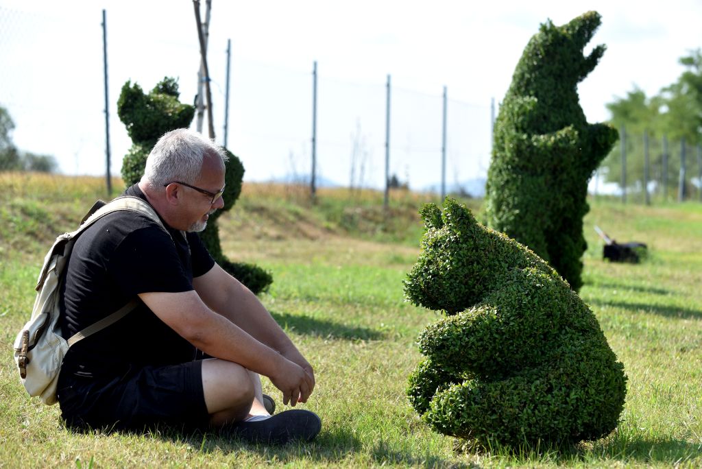 Sracinec, 16.08.2022 (nedeljni broj) - bajkoviti topiary park obitelji Flegar u blizini Varazdina, na slici Pave se rijesio straha od mede i sada ce lakse u Gorski kotar, tekst S.Pavic. foto Davor Kovacevic nedeljni