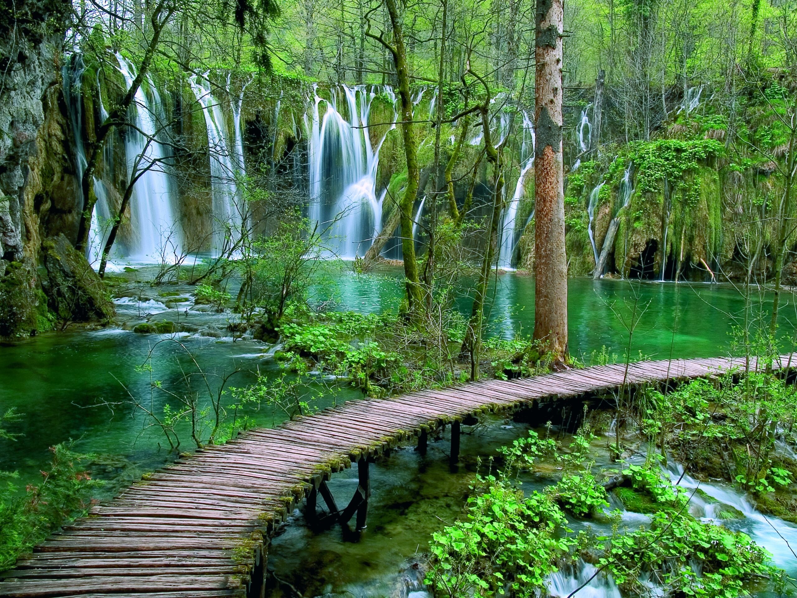 Foto: ARHIVA NP PLITVIčKA JEZERA