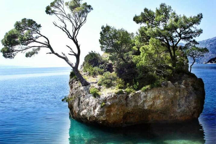 Foto: HRVATSKE ŠUME