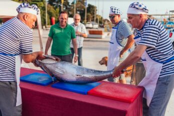 Tuna i druge plave ribe bit će na meniju Crikveničana i njihovih gostiju / Foto TZG CRIKVENICE