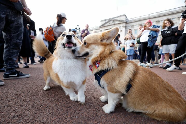 Foto: Reuters