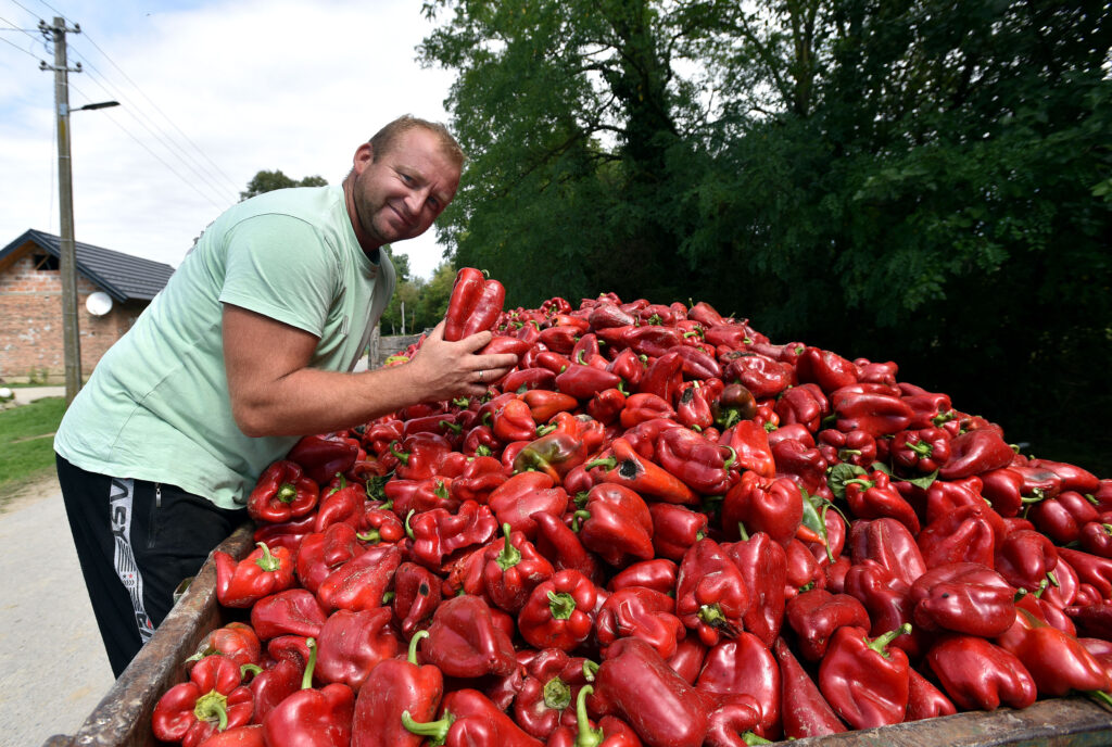 Foto Davor Kovačević