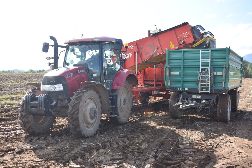 Kombajn tvrtke Agro-Velebit, uzgoj krumpira, Lovinac