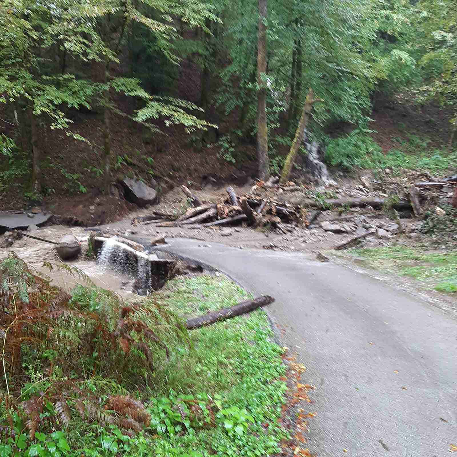 Foto NP Risnjak