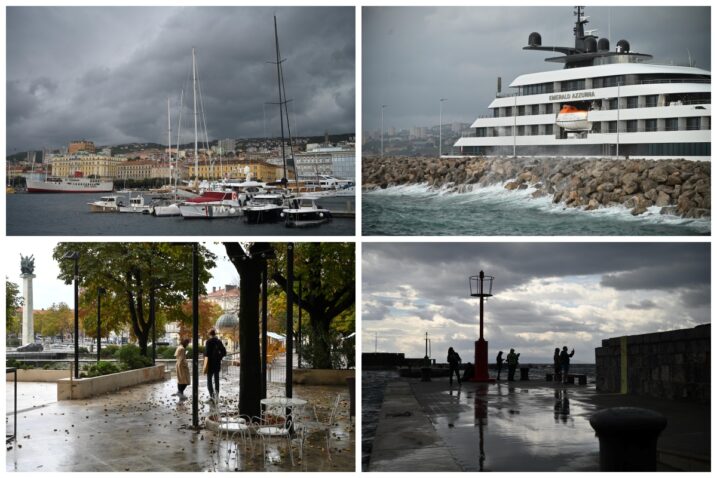 Foto: M. LEVAK