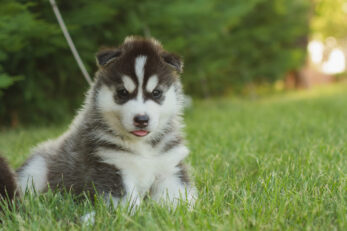 FOTO: iStock