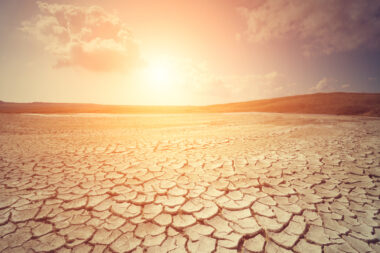 Foto iStock