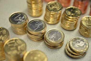 Na kovanicama eura su hrvatska obilježja / Foto M. LEVAK