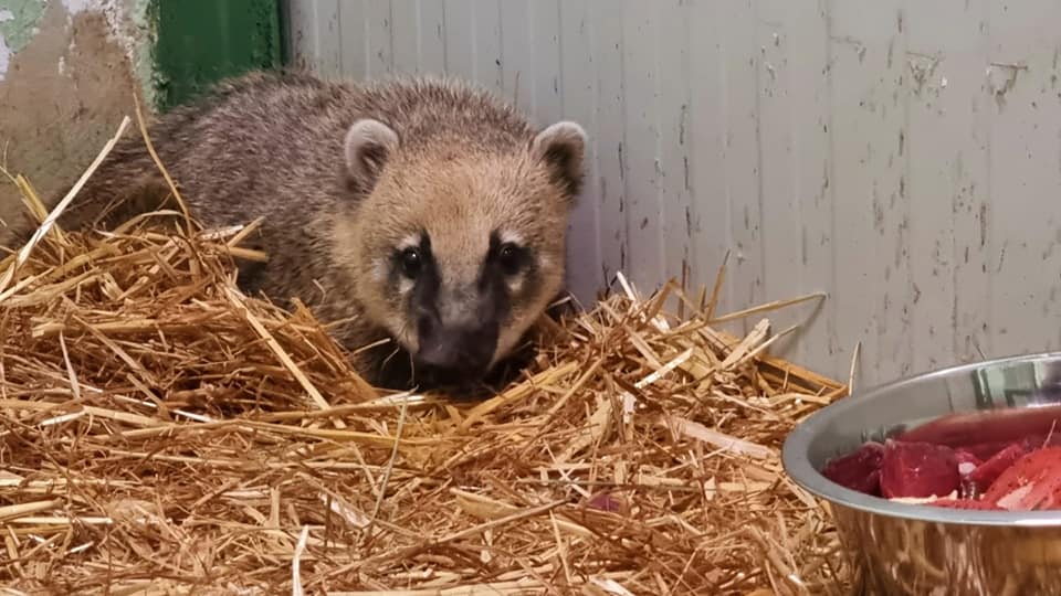 Foto Zoološki vrt grada Zagreba