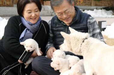 Bivši južnokorejski predsjendik Moon Jae-in i supruga u društvu jednog od pasa i legla / Reuters