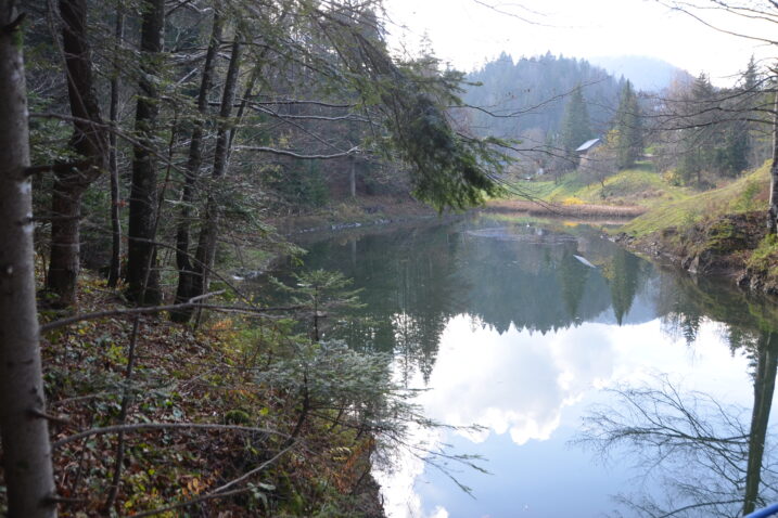 Starosušičko jezero / Foto M. KRMPOTIĆ