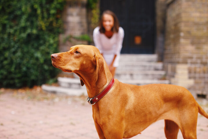 FOTO: iStock