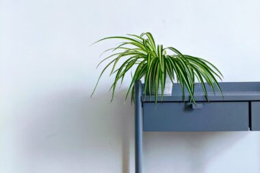 Foto: Unsplash