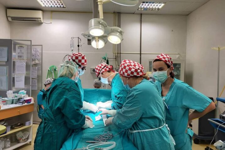 Foto Halima Podrug
