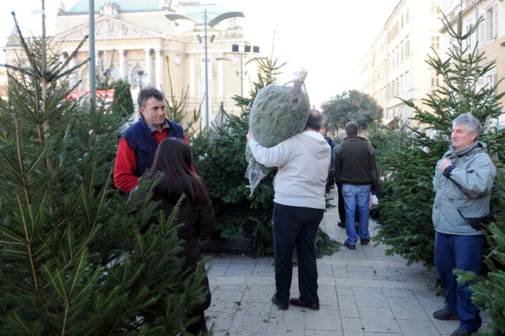 Prodaja božićnih jelki na riječkoj tržnici / Foto Vedran Karuza