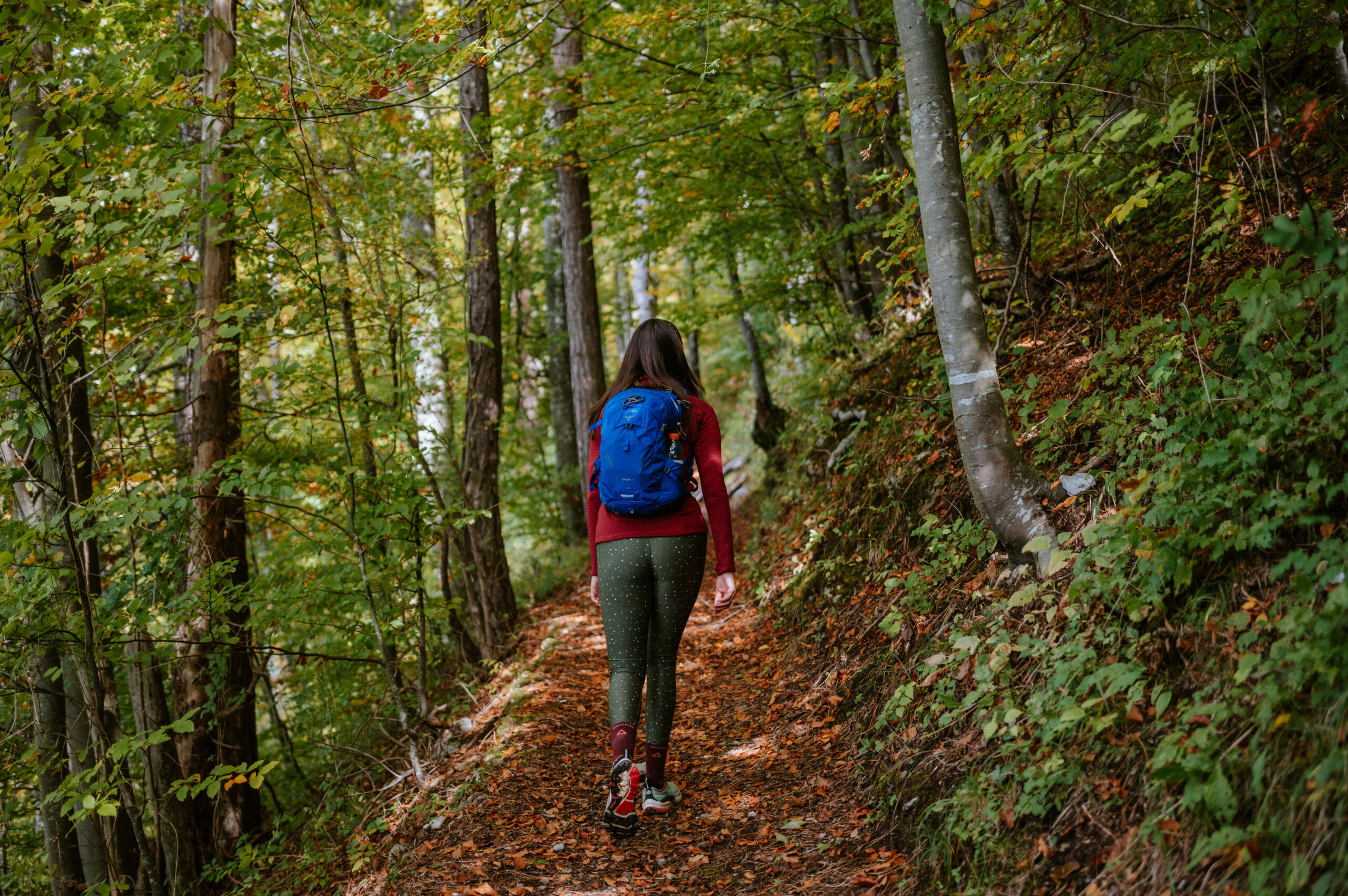 Ljepota šetnje goranskom šumom / Foto M. JURINA