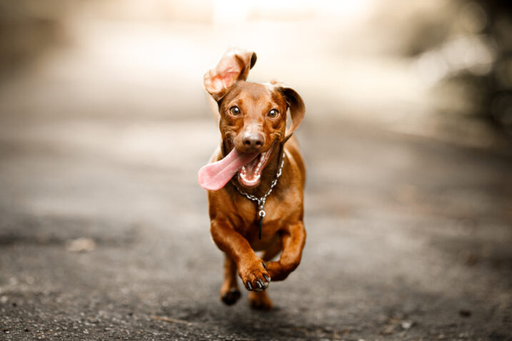FOTO: iStock