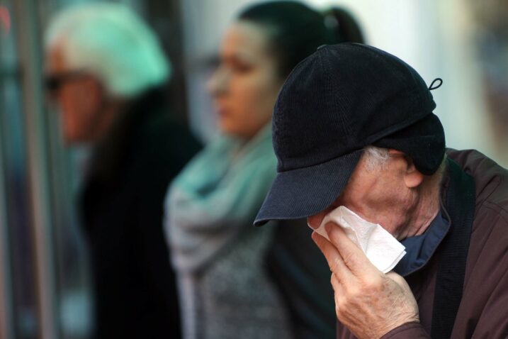 Gripa trenutno hara Hrvatskom / Foto ARHIVA NL