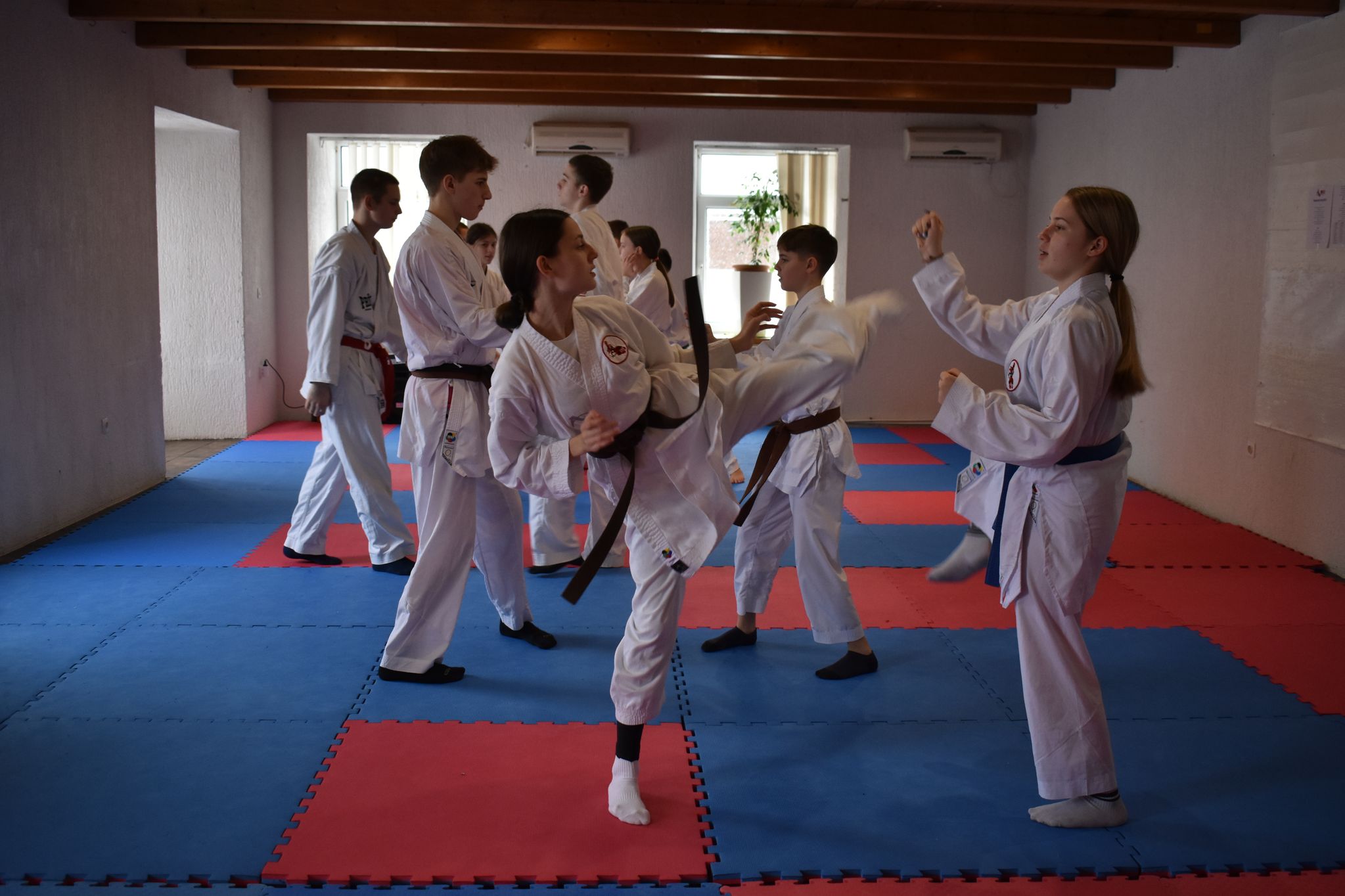 Karate klub "Krk Croatia" sudjelovao na Zimskom seminaru u snježnim