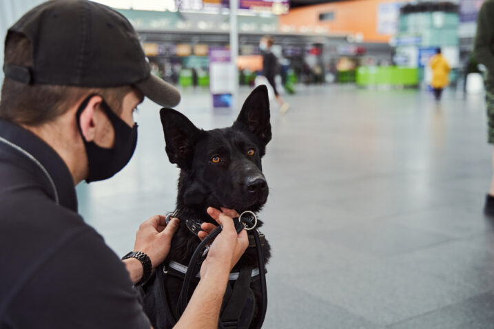 FOTO: iStock