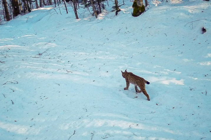 Foto NP Plitvička jezera