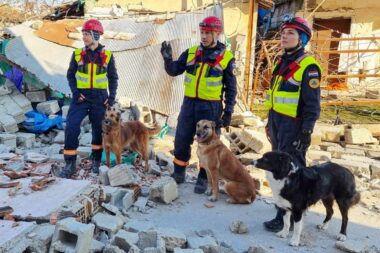 Nataša i Matko Škalamera i Kristina Crancich s potražnim psima na ruševinama zgrade u Hatayu / Foto Ravnateljstvo Civilne zaštite