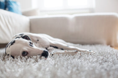 FOTO: iStock
