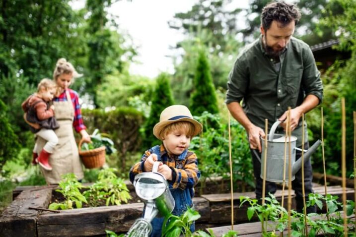 Foto: iStock
