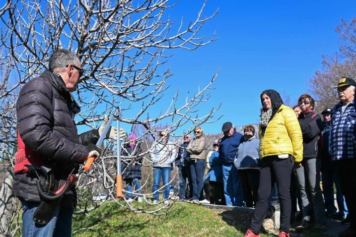 Foto Ana Križanec