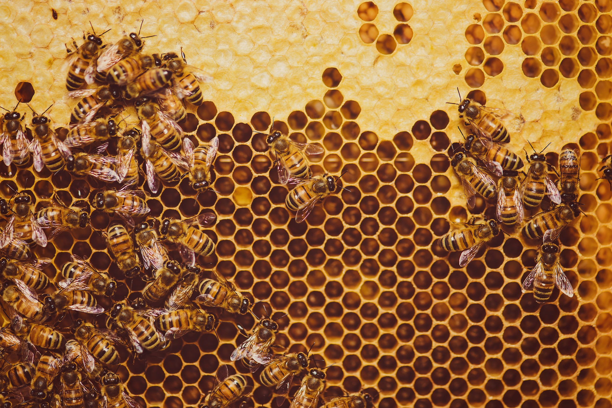 Foto: iStock