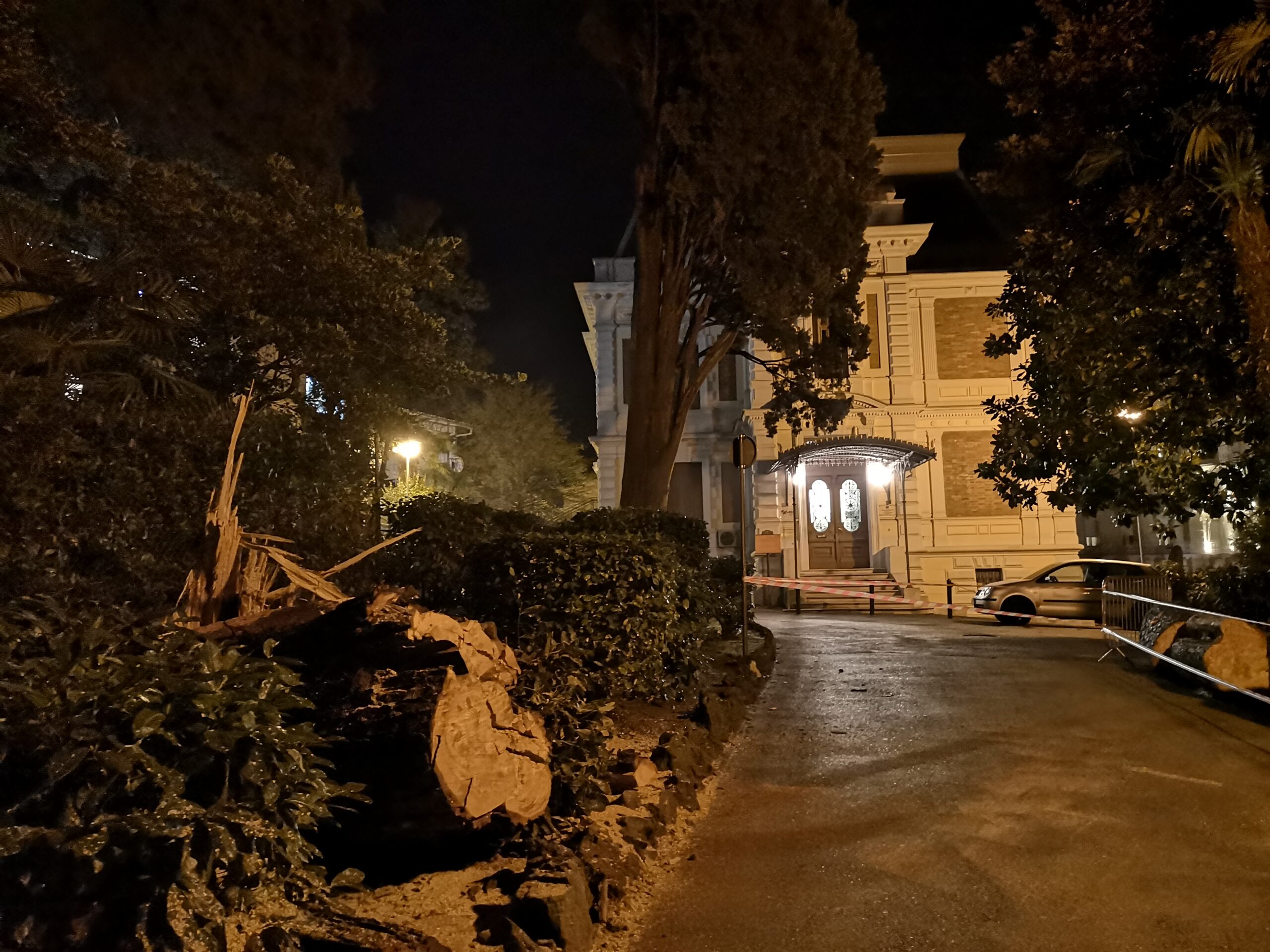 Foto Aleksandra Kučel-Ilić