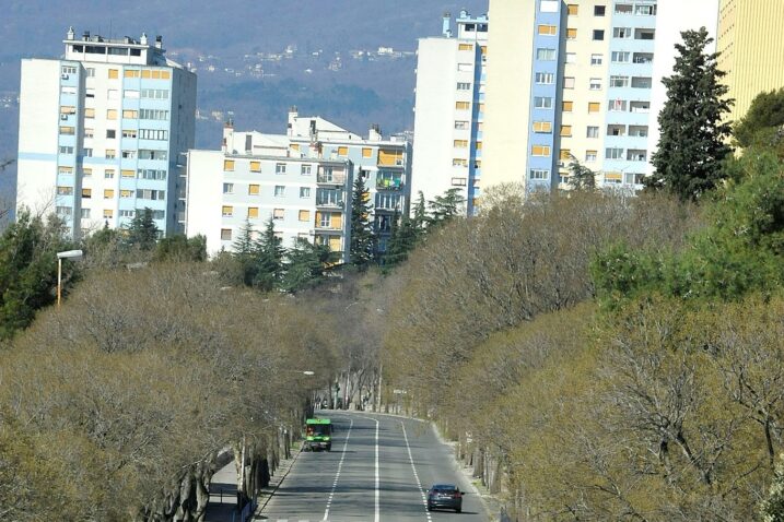 Nova lokacija na kojoj će se početi kopati / Foto S. DRECHSLER