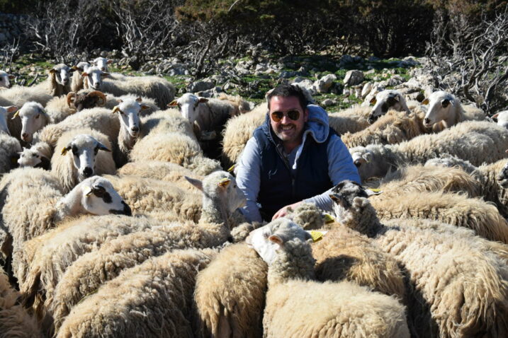 Branimir Čemeljić sa svojim ovcama / Snimio Arif SITNICA