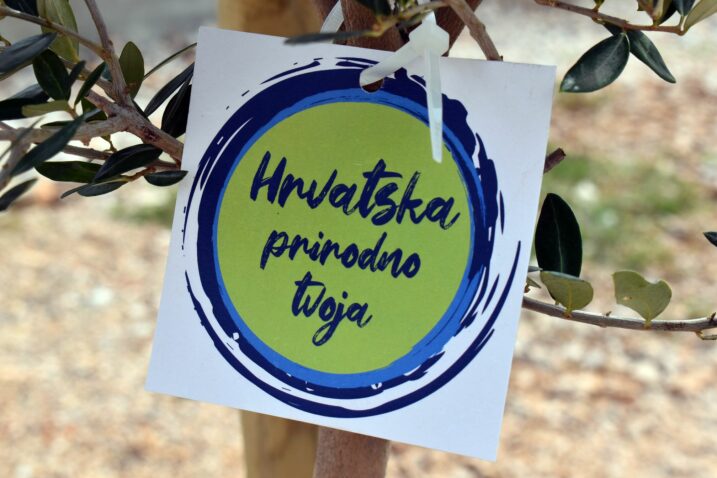 Foto Mladen Trinajstić