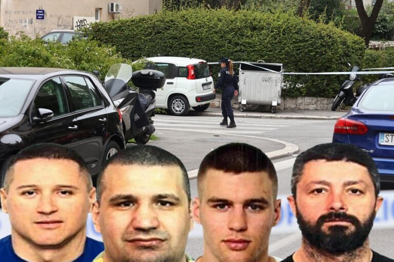 Arhiva Nenad Petrak Novi list