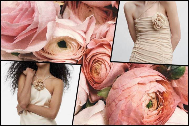 Foto: PR, Pexels