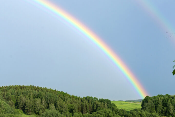 Foto iStock