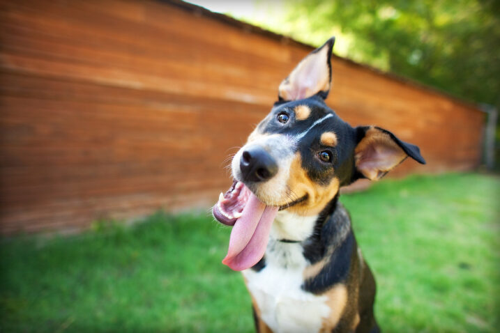 FOTO: iStock