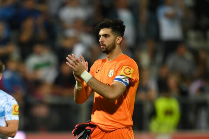 Nediljko Labrović/Foto PIXSELL